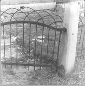 SA0378 - Photo of an iron gate that could swing both ways. The gate post is of marble quarried on Shaker property. Identified on the back.